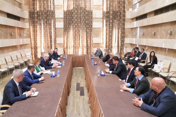 Məzahir Pənahov bir sıra ölkələrin Mərkəzi Seçki komissiyalarının nümayəndələri ilə görüşdü