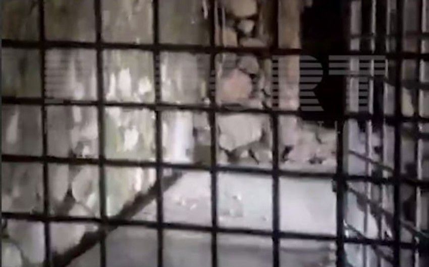Malıbəylidə erməni separatçıların azərbaycanlı əsir və girovları saxladığı tikili aşkarlanıb -       VİDEO