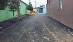 İcra hakimiyyəti ağacların diblərini asfaltladı -       FOTO — foto 1