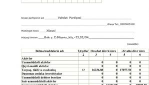 Vəhdət Partiyası maliyyə hesabatını MSK-ya təqdim etdi -     FOTO — foto 1