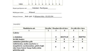 Vəhdət Partiyası maliyyə hesabatını MSK-ya təqdim etdi -     FOTO — foto 3