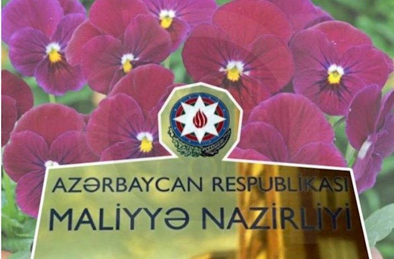 Baba Rzayevin qohumları Maliyyə Nazirliyinə olmayan gül növü satır?