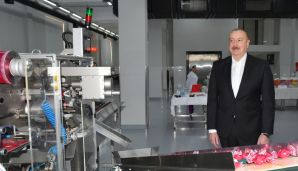 Prezident Lənkəranda qənnadı məhsullarının istehsalı müəssisəsinin fəaliyyəti ilə tanış olub -   FOTO - YENİLƏNDİ — foto 3