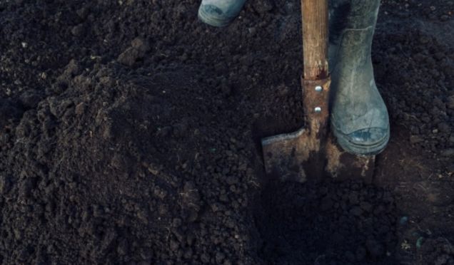 Birgə yaşadığı kişiyə görə rəfiqəsini öldürüb basdırıbmış:     İçki məclisindən sonra niyə qan tökülüb?