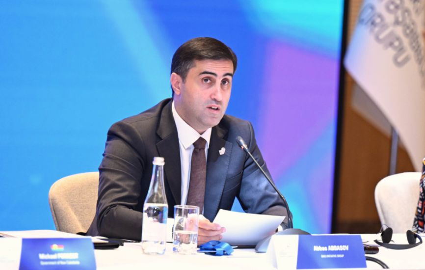Abbas Abbasov: Bakı Təşəbbüs Qrupu Niderlandın koloniyalarına dəstək verməyə başlayıb