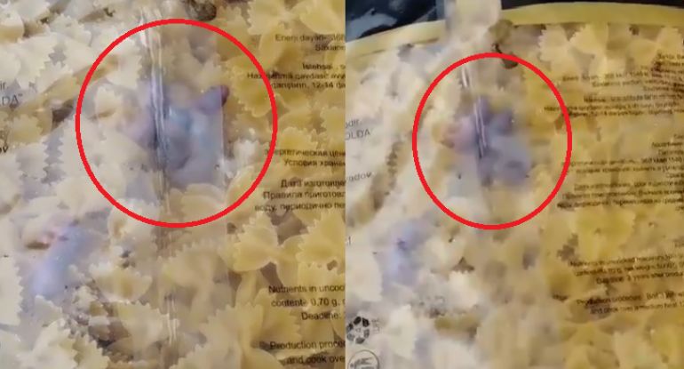 "Azərsun" şirkətinə məxsus "Saville" makaronlarının içindən diri siçan balaları çıxdı -       VİDEO