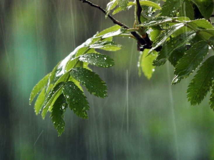 Son 59 ildə ilk dəfə bu həddə yağıntı qeydə alınıb