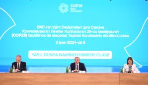 COP29 ilə əlaqədar Təşkilat Komitəsinin dördüncü iclası keçirildi -   FOTO — foto 7