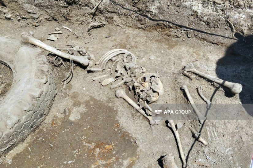 Xocalıda kütləvi məzarlıqda aşkar edilmiş insan qalıqlarının sayı 13-ə çatıb