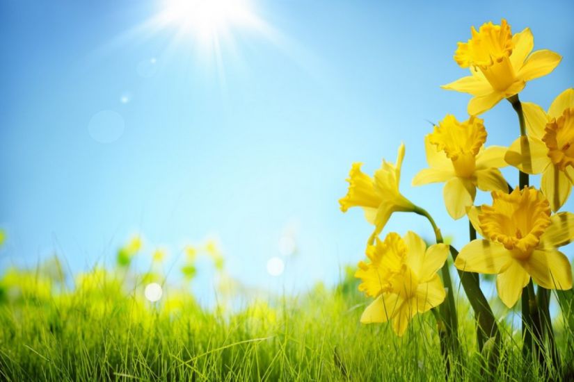 Od çərşənbəsində ölkə ərazisində yüksək temperatur qeydə alınır