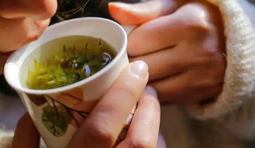 Şəfalı olduğu düşünülən bu bitkilər böyrəkləri çürüdür! –     Həkim XƏBƏRDARLIQ etdi