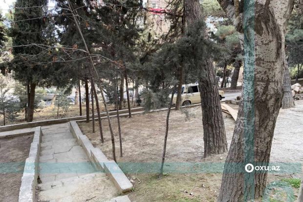 Bakıda yaşıllıq ərazinin məhv edilməsi ilə bağlı yayılan iddialara     CAVAB