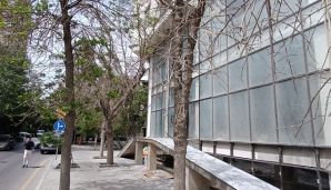 Nərimanovda ağaclar quruduldu -       FOTO — foto 2
