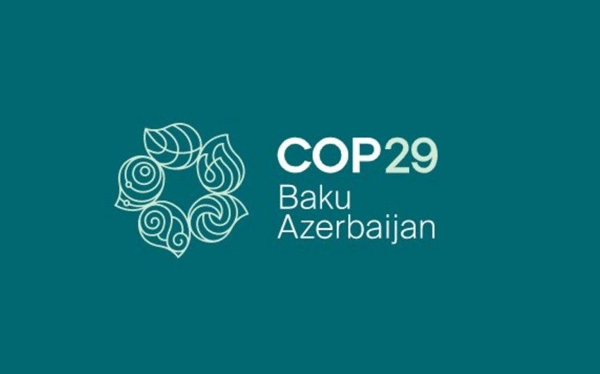 "COP29-un Azərbaycanda keçirilməsi artan beynəlxalq nüfuzumuzun bariz nümunəsidir"
