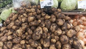 ""Araz Supermarket"də qəşəng palçıq satılır" -       FOTO — foto 1