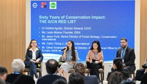 Leyla Əliyeva COP29-da nadir canlıların mühafizəsinə həsr olunan panel müzakirələrində iştirak edib — foto 5