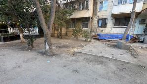 Yasamalda çoxillik ağaclar kəsilib, restoran tikiləcəyi deyilir -         ETSN tədbir görüb, BŞİH isə susur - VİDEO — foto 1