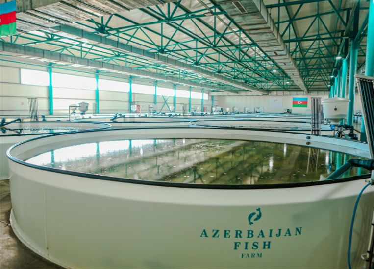 "Azerbaijan Fish Farm" məhkəməyə verildi