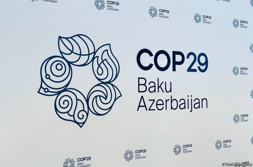 "Bir sıra böyük dövlətlər, transmilli korporasiyalar COP-la bağlı öhdəliklərdən boyun qaçırırlar" -         RƏY
