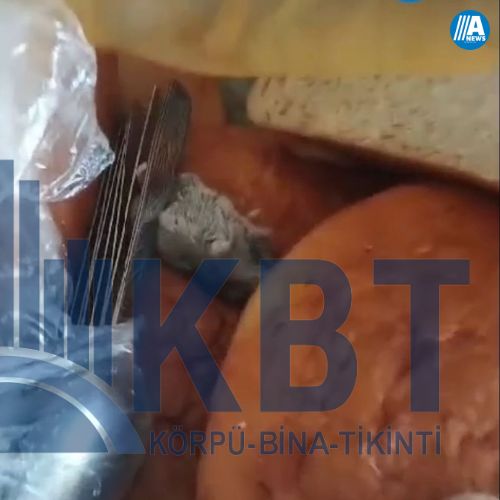 Azərbaycanda şirkət işçilərinə verilən çörəyin içərisindən ölü siçan çıxdı -       VİDEO