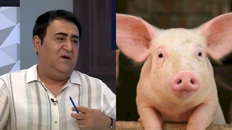 Elgiz Polşada həyatının şokunu yaşadı -     VİDEO