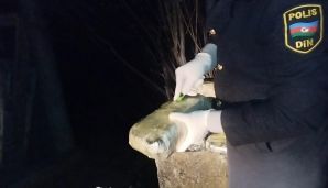 Astaraya PUA ilə keçirilən narkotik aşkarlanıb, bir nəfər tutulub — foto 2