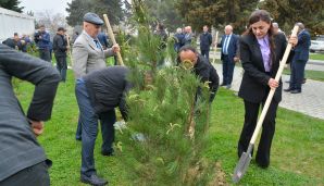Xətai rayonunda Aprel şəhidlərinin anım günü ilə əlaqədar ehsan süfrəsi təşkil olundu -       FOTOLAR — foto 8