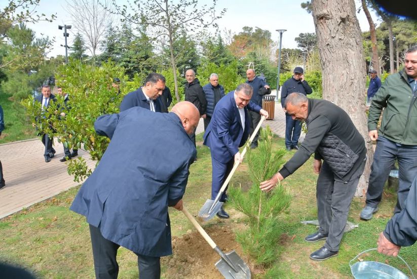 Xətai rayonunda “Konstitusiya və Suverenlik ili” çərçivəsində ümumrayon iməcliyi və ağacəkmə aksiyası təşkil olundu -   FOTOLAR