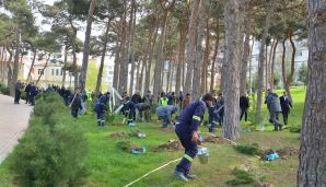 Xətai rayonunda “Konstitusiya və Suverenlik ili” çərçivəsində ümumrayon iməcliyi və ağacəkmə aksiyası təşkil olundu -   FOTOLAR — foto 1