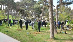 Xətai rayonunda “Konstitusiya və Suverenlik ili” çərçivəsində ümumrayon iməcliyi və ağacəkmə aksiyası təşkil olundu -   FOTOLAR — foto 2