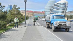 Xətai rayonunda “Konstitusiya və Suverenlik ili” çərçivəsində ümumrayon iməcliyi və ağacəkmə aksiyası təşkil olundu -   FOTOLAR — foto 13