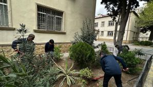 Xətai rayonunda “Konstitusiya və Suverenlik ili” çərçivəsində ümumrayon iməcliyi və ağacəkmə aksiyası təşkil olundu -   FOTOLAR — foto 14