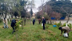 Xətai rayonunda “Konstitusiya və Suverenlik ili” çərçivəsində ümumrayon iməcliyi və ağacəkmə aksiyası təşkil olundu -   FOTOLAR — foto 15