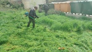 Xətai rayonunda “Konstitusiya və Suverenlik ili” çərçivəsində ümumrayon iməcliyi və ağacəkmə aksiyası təşkil olundu -   FOTOLAR — foto 16