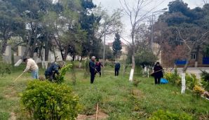 Xətai rayonunda “Konstitusiya və Suverenlik ili” çərçivəsində ümumrayon iməcliyi və ağacəkmə aksiyası təşkil olundu -   FOTOLAR — foto 17