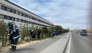 Xətai rayonunda “Konstitusiya və Suverenlik ili” çərçivəsində ümumrayon iməcliyi və ağacəkmə aksiyası təşkil olundu -   FOTOLAR — foto 19