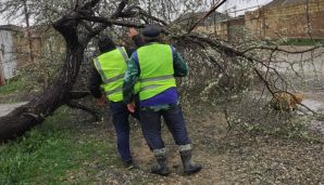 Abşeron Rayon İcra Hakimiyyəti gücləndirilmiş iş rejiminə keçib -       FOTO — foto 3