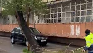 Abşeron Rayon İcra Hakimiyyəti gücləndirilmiş iş rejiminə keçib -       FOTO — foto 4