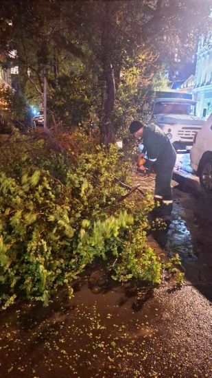Güclü külək nəticəsində 368 ağac sınıb, 55-i zədələnib