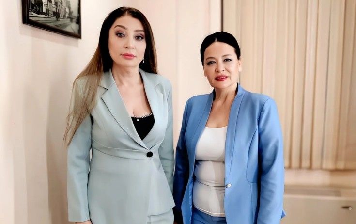Əməkdar artistlər nazirə şikayət etdilər