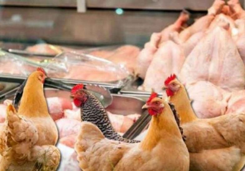 "Kənd toyuğudur" deyib əhalini necə aldadırlar? -    İşbazların tələlərinə düşməməyin YOLLARI