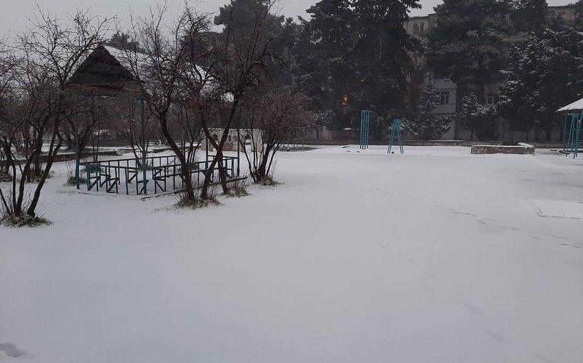 Qarlı hava davam edir, 16 dərəcə şaxta qeydə alınıb