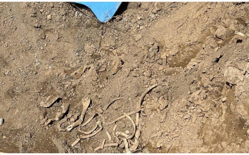 Ağdamda insan skeletinə bənzər sümük fraqmentlər aşkar ediib, araşdırma aparılır