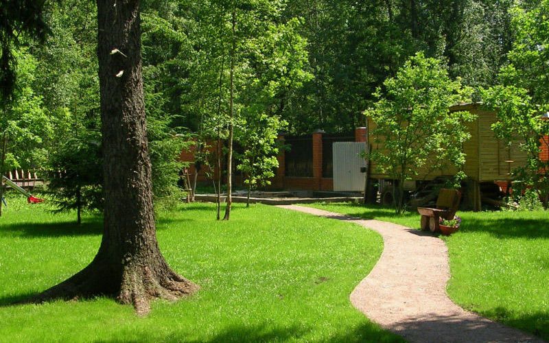 “Premium Park Neftçilər” layihəsini inşa edən şirkət ağacları kəsdi