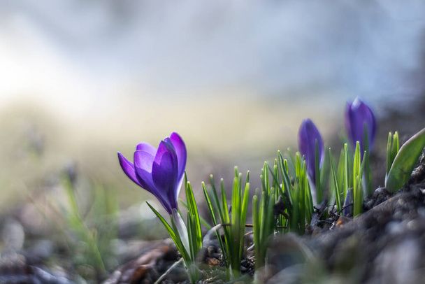 İlaxır çərşənbənin hava proqnozu açıqlandı