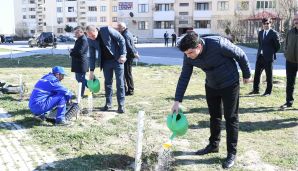 Dövlət Komitəsi “Konstitusiya və Suverenlik İli” çərçivəsində ağacəkmə aksiyası təşkil edib — foto 4