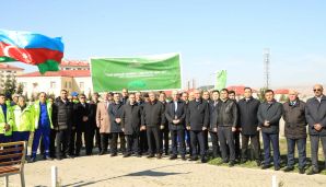 Dövlət Komitəsi “Konstitusiya və Suverenlik İli” çərçivəsində ağacəkmə aksiyası təşkil edib — foto 5