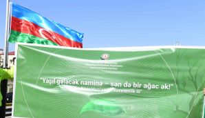 Dövlət Komitəsi “Konstitusiya və Suverenlik İli” çərçivəsində ağacəkmə aksiyası təşkil edib — foto 9