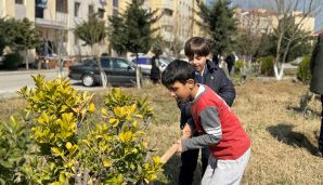 Dövlət Komitəsi “Konstitusiya və Suverenlik İli” çərçivəsində ağacəkmə aksiyası təşkil edib — foto 6