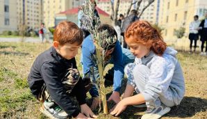 Dövlət Komitəsi “Konstitusiya və Suverenlik İli” çərçivəsində ağacəkmə aksiyası təşkil edib — foto 7